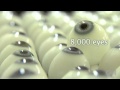 Glass eye industry focuses on the future