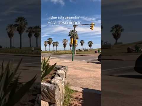 Esto es lo que está pasando en el Parque Rodó #montevideo