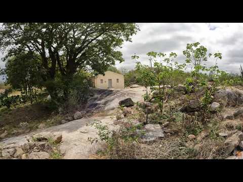 Visitando o Sítio Lagoa de Dentro em Itapetim PE - Lá choveu quase 300 MM em 3 Chuvas #nordeste