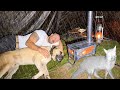 Camping In Heavy Rain And Rainstorm With My Dog Hot Tent Rain Camping