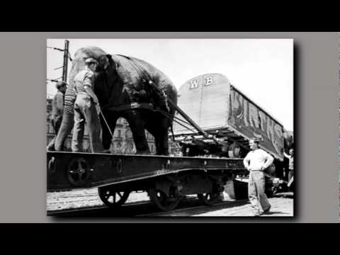 Local Tales - Wirth Brothers Circus