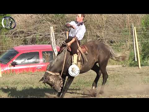 Jineteada en Basto con encimera en Crucesitas 3ra Marzo 2023 Nogoyá (Entre Rios)