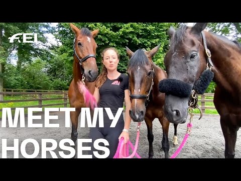 Spotlight on ​@ashleyharrisoneventing and her horsey-gang