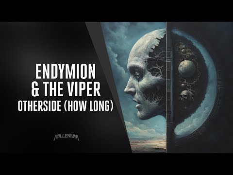 Endymion & The Viper - Otherside (How Long)