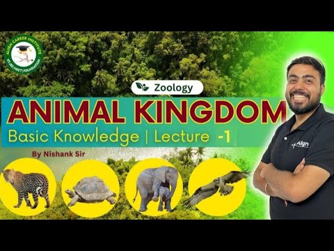 Align Career Institute Dehradun Video 1