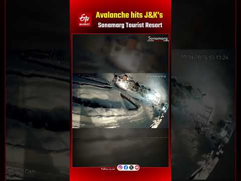 Avalanche Hits J-K's Sonamarg Tourist Resort; Officials Say No Casualty | Kashmir Snowfall