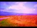 Embrio - Dawn 