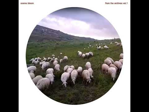 Cosmo Bloom - Hollow Lands (Natural State)