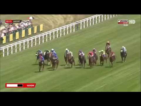 Queen Anne 2017 Ribchester