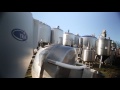 Perry Process Overview