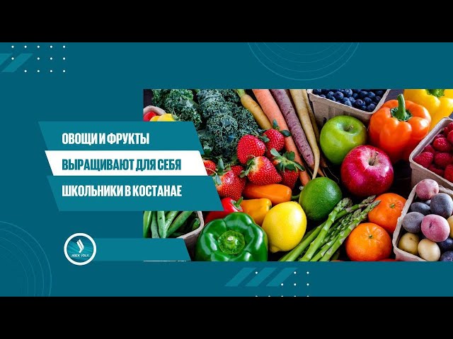 Овощи и фрукты выращивают для себя школьники в Костанае