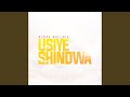 Usiyeshindwa