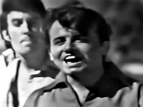 NEW * Come A Little Bit Closer - Jay & The Americans {DES Stereo} 1964