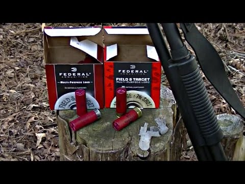 Federal Shotgun Ammo Birdshot (Review)