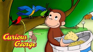 Let's Feed The Birds! 🐵 Curious George 🐵 Kids Cartoon 🐵 Kids Movies