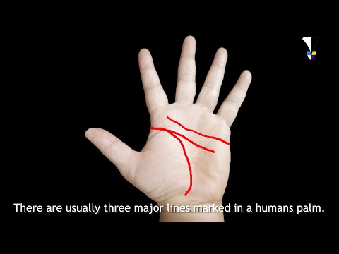 Guru Khare's guide to reading hands! Episode 1