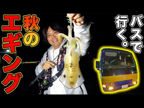 夜の釣りよかバスで秋のエギング旅行！アオリイカが釣れまくる！？