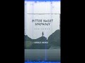 The Verve - Bitter sweet symphony ( Amkiz Bootleg )