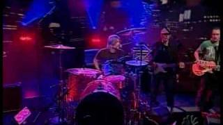 Gannin Arnold Taylor Hawkins and The Coattail Riders.mp4