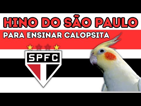 HINO DO SÃO PAULO - Assobio Para Ensinar Calopsita Cantar