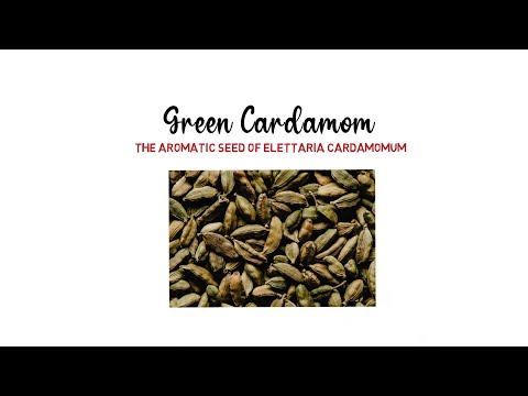 Green Cardamom Name In Different Indian Languages |  Seed of Elettaria Cardamomum