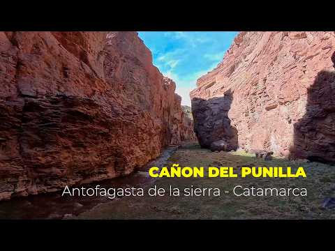 Cañon del Punilla-Antofagasta de la Sierra-Catamarca-Argentina