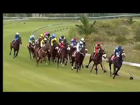 2017.12.02 Fillies Guineas (RSA) - Snowdance