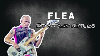 Video thumbnail for Flea's Bass Rig Red Hot Chili Peppers - "Know Your Bass Player" (part 1/2) by Which Bass