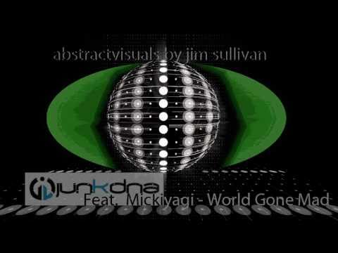 JunkDNA  feat. Mickiyagi 'World Gone Mad' visuals jim sullivan