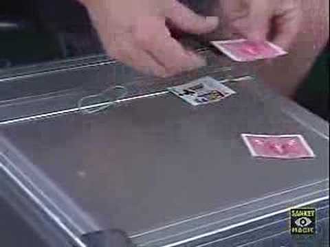 22 blows to the head - jay sankey