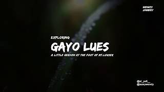 preview picture of video 'Exploring Gayo Lues'