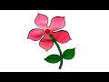 How To Draw A Periwinkle Flower Barmasi Flower Drawing