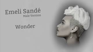 Male Version: Emeli Sandé - Wonder