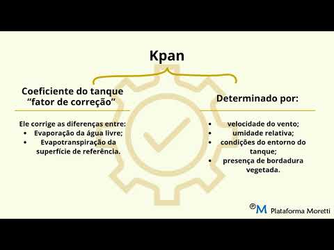 Faixa 4 - Joao Pedro Farias