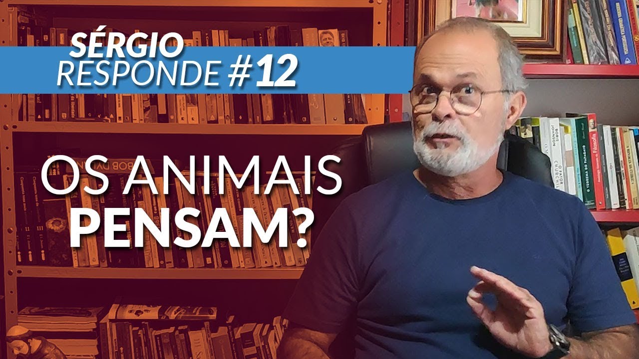 SERGIO RESPONDE #12: Os animais pensam?