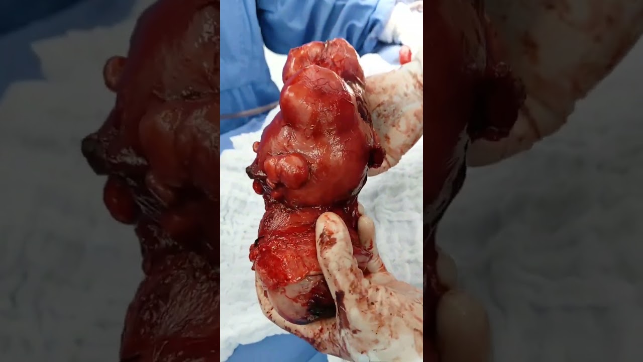 Yesenia Sánchez Arias-27