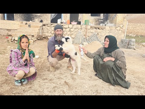 Sürgősségi kölyökkutya méregtelenítés ☠️ | Teljes hálószoba takarítás a család biztonsága érdekében