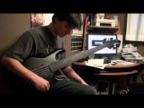 Primus - Tommy the Cat (Bass Cover)