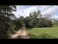2022 08 ROAD 15 NORTH STARTING AT ROAD 20 CITRUS WMA TOUR 4x4 LECANTO FLORIDA TRAIL PART 1