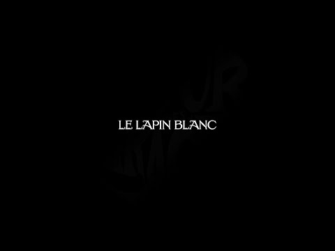 Video thumbnail for Le lapin blanc
