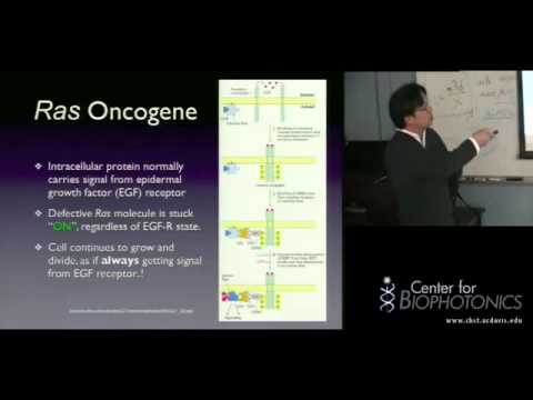 Cancer and Biophotonics