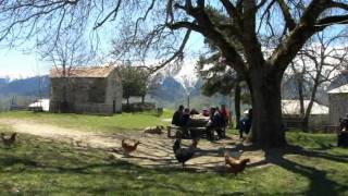 Deep in the Heart of Georgia