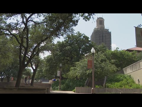Breaking Down Ut Austin Ris Curriculum And Course Structure