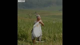 Download lagu STORY WA AGOS KOTAK || 'Puaannuaass' mp3