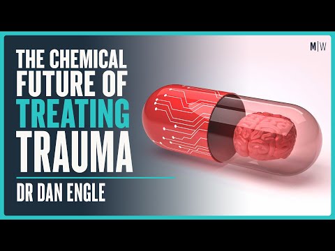 How MDMA Is Transforming Mental Health - Dr Dan Engle | Modern Wisdom Podcast 367