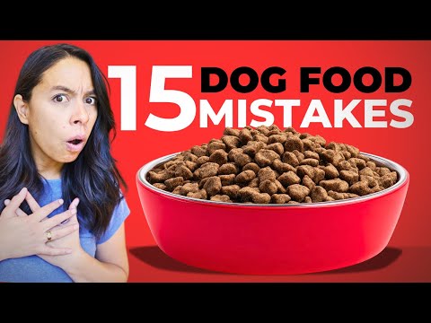 15 COMMON Mistakes Quietly Hurting Your Dog ⚠️ (& how Open Farm helps)