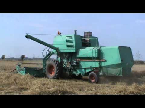 Loonw. Veryser - Oostende