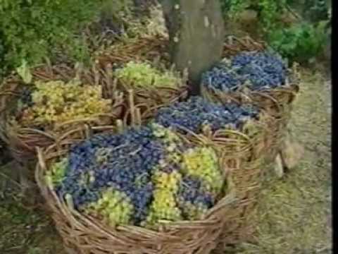 Salihe Qubine Bave Fexriye