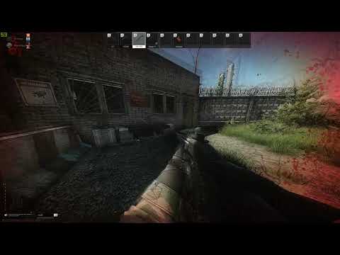 Escape From Tarkov - Berserker Mode Bug?