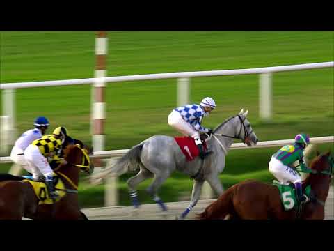 210612 c07 GRAN BLANCO